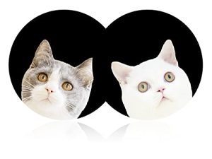 Cute Cat Funny Cat Car Coasters