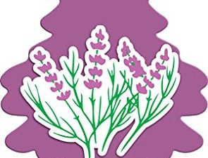 LITTLE TREES Car Air Freshener | Hanging Paper Tree for Home or Car | Lavender | 3 Pack