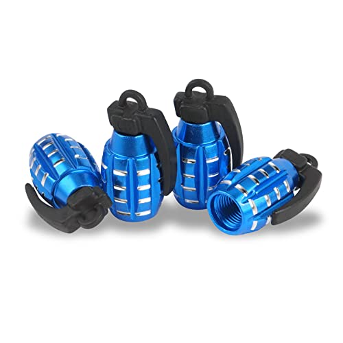 SINGARO Car Tire Valve Stem Cap SINGARO Car Tire Valve Stem Cap