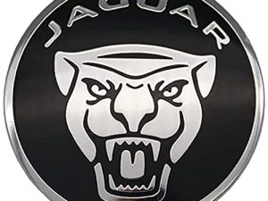 MAXDOOL Panel Frame Cover Trim Accessories Gear Shift Knob Cover Decoration Trim Sticker for Jaguar XF XE XJ F-Pace(Black)