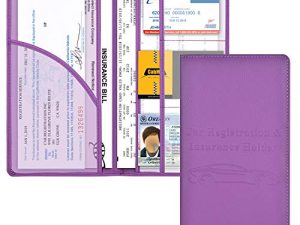 Cacturism Car Registration and Insurance Holder