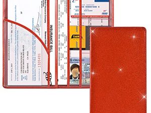 Cacturism Car Registration and Insurance Holder